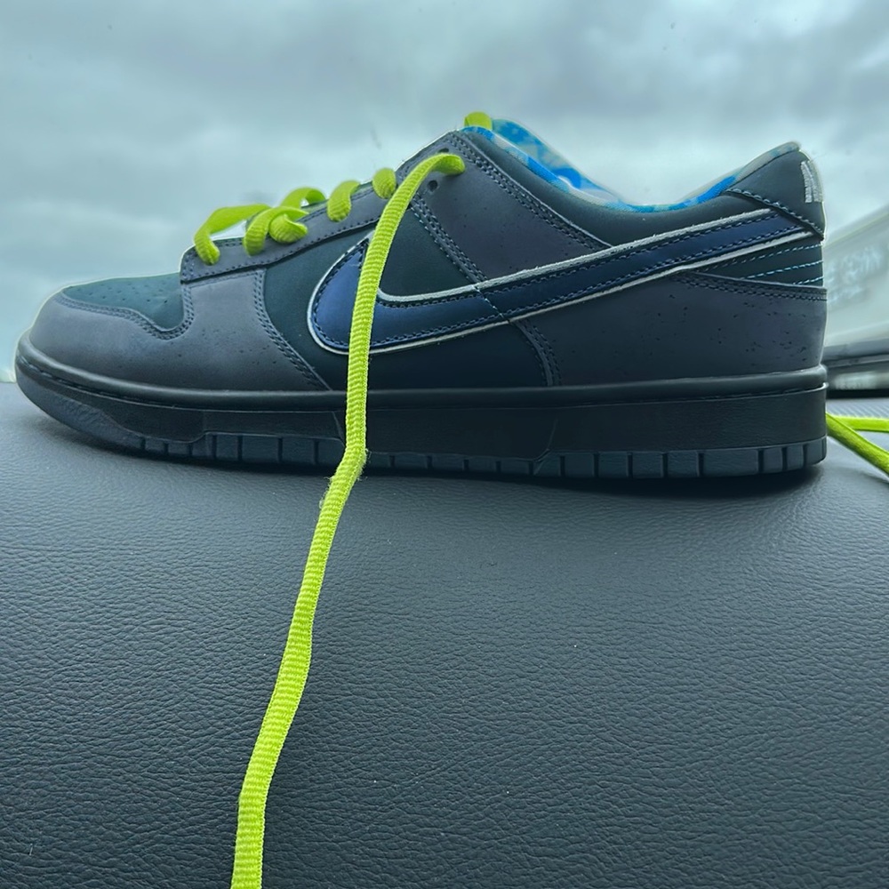 Blue lobsters dunk sb